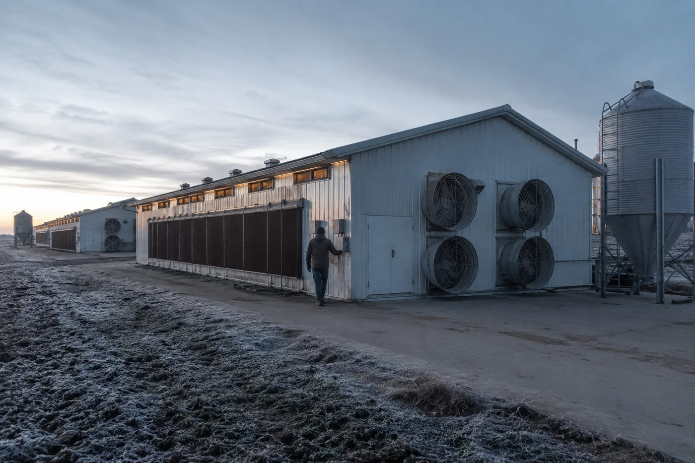 Cold-Weather Ventilation: What Ross, Cobb and the Data Actually Say
