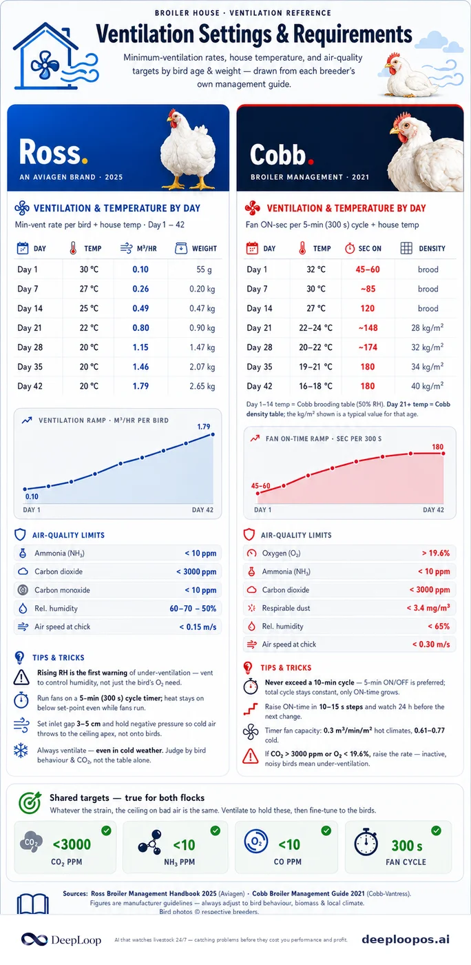 Ross and Cobb minimum ventilation and air-quality targets across the 42-day broiler growout.