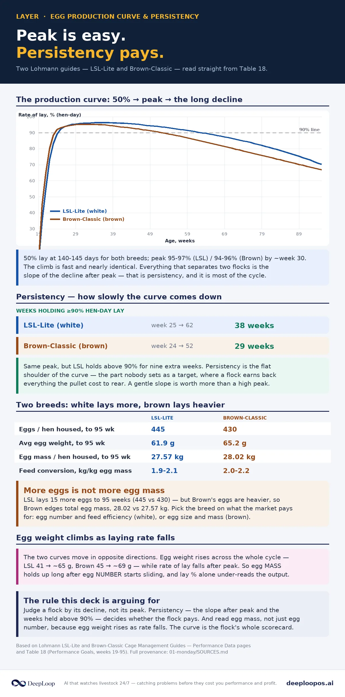 Rise to peak and persistency by breed - LSL-Lite vs Brown-Classic hen-day lay held above 90%, redrawn from Lohmann.