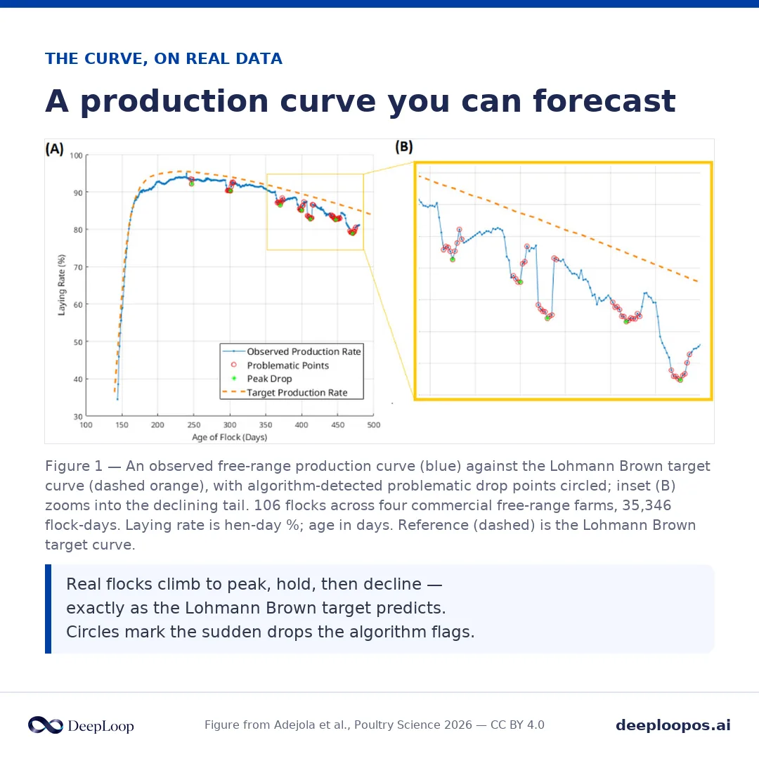 From the forecasting study - the production curve is regular enough to transfer between farms, but a drop shows in the average days after it starts.