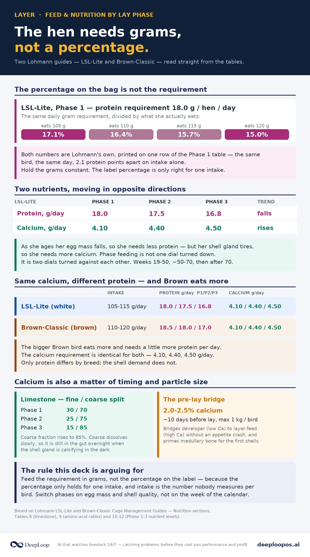 LSL-Lite and Brown-Classic phase-feeding requirements in grams per day - protein falling, calcium rising, redrawn from Lohmann.