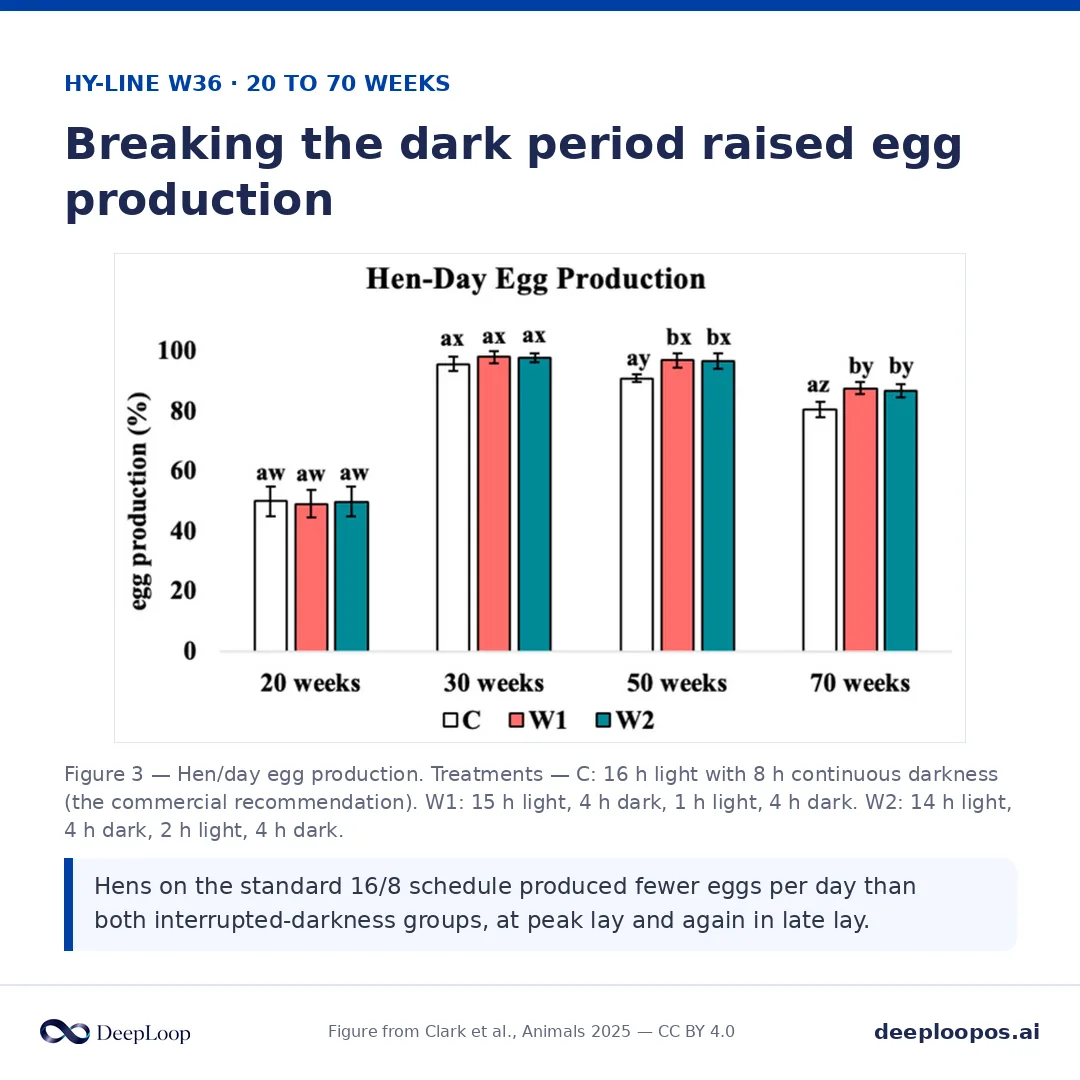 From Clark et al., Animals 2025 (CC BY 4.0) — intermittent light-day schedules held eggshell quality where continuous darkness let it decline.