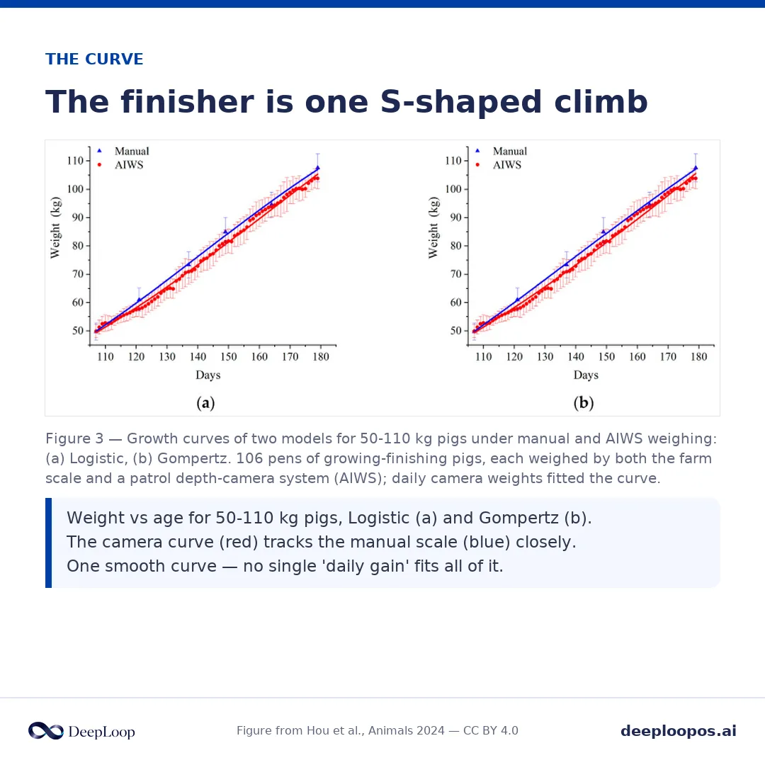 From the depth-camera weighing study - daily camera weights fit the growth curve better than fortnightly manual weighing and located the inflection point.