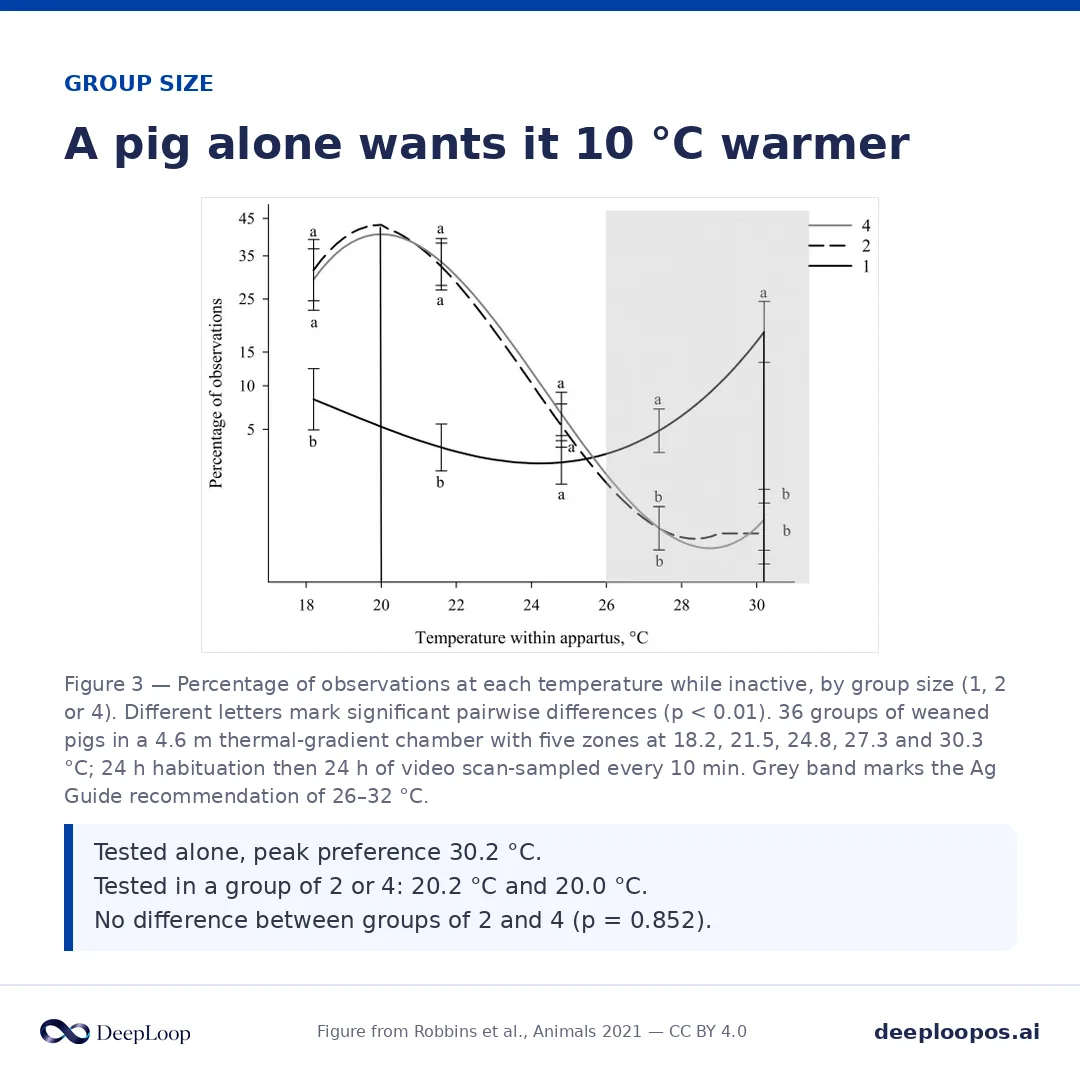 From the Purdue thermal-gradient study - grouped weaned pigs chose temperatures well below the standard recommendation.